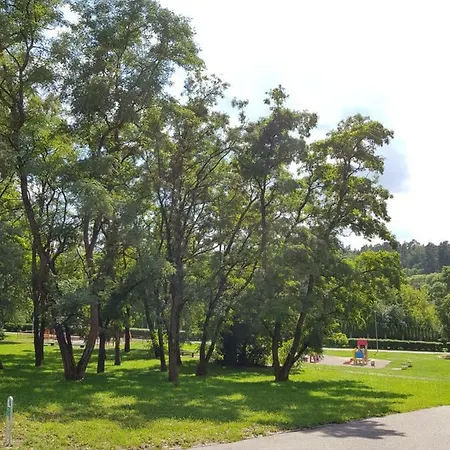 Central Park *