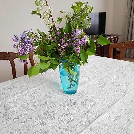 Апартаменты Central Park